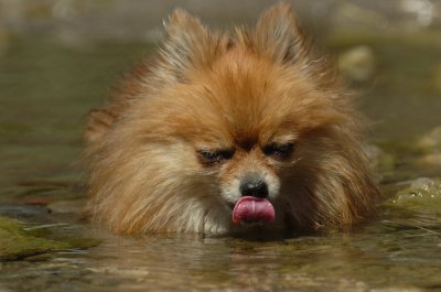 Aug9_06_369.JPG