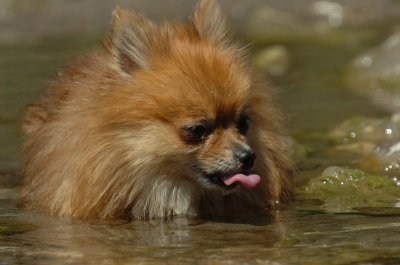 Aug9_06_370.JPG