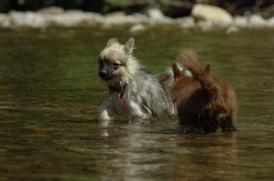 Aug9_06_383.JPG