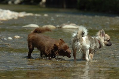Aug9_06_387.JPG