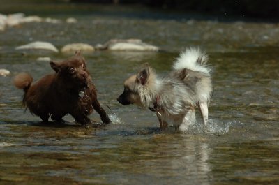 Aug9_06_390.JPG