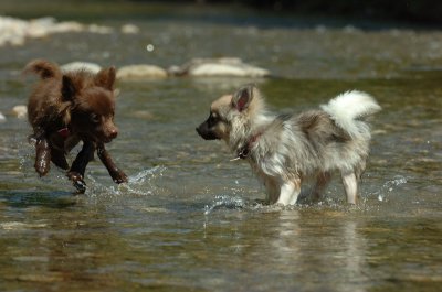 Aug9_06_391.JPG