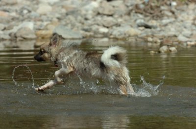 Aug9_06_392.JPG