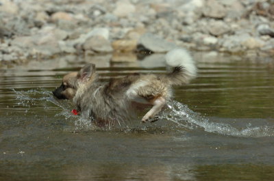 Aug9_06_393.JPG