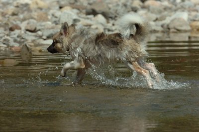 Aug9_06_394.JPG