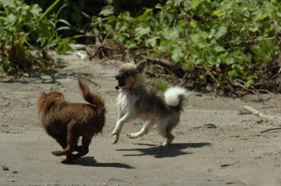 Aug9_06_396.JPG