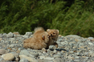 Aug9_06_443.JPG