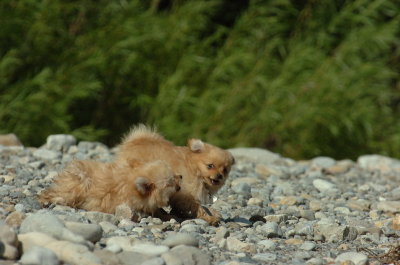 Aug9_06_444.JPG