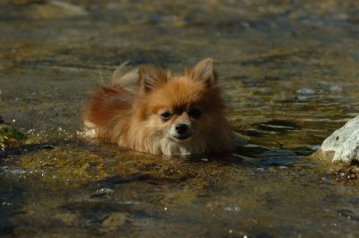 Aug9_06_482.JPG