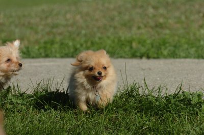 Aug12_06_031.JPG