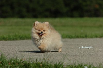 Aug12_06_039.JPG
