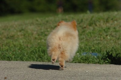 Aug12_06_042.JPG