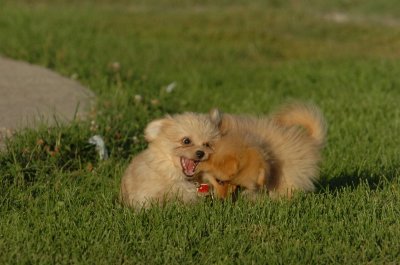 Aug13_06_037.JPG