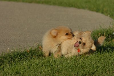 Aug13_06_040.JPG