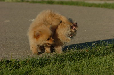 Aug13_06_041.JPG