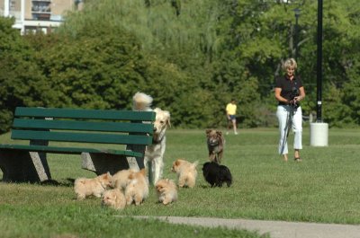 Aug15_06_307.JPG