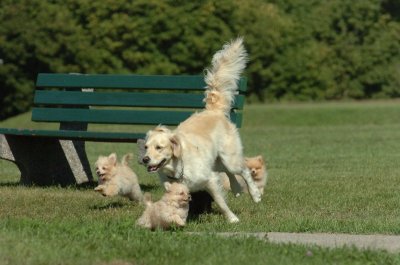Aug15_06_313.JPG