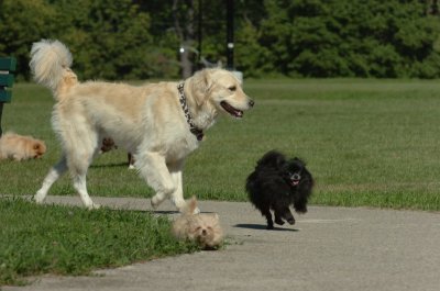 Aug15_06_316.JPG