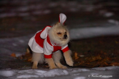 Dec20_07_002.JPG