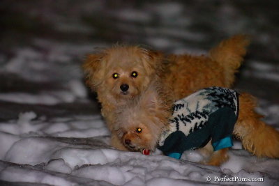 Dec20_07_003.jpg