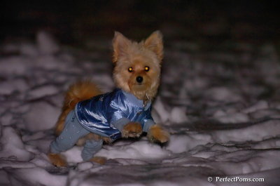 Dec20_07_004.JPG