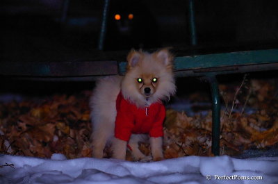 Dec20_07_005.JPG
