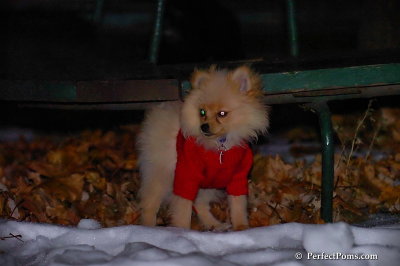 Dec20_07_006.jpg