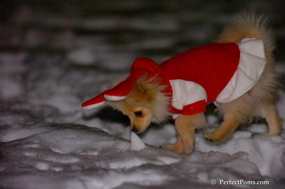 Dec20_07_007.JPG