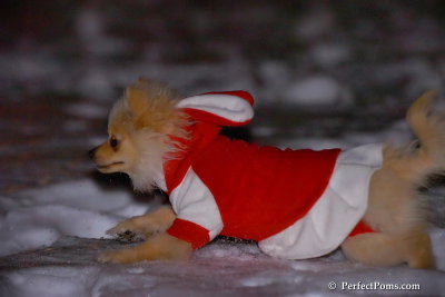 Dec20_07_008.jpg