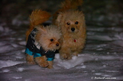 Dec20_07_009.JPG