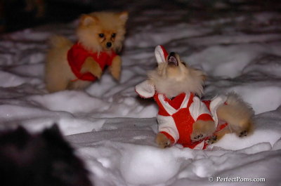 Dec20_07_016.JPG