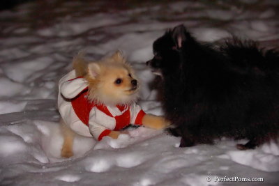 Dec20_07_018.jpg