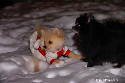 Dec20_07_019.jpg