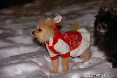 Dec20_07_020.jpg