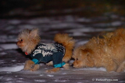 Dec20_07_026.jpg