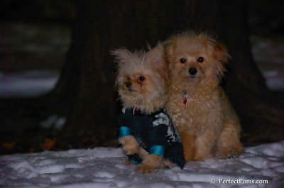 Dec20_07_027.JPG