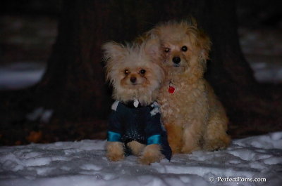 Dec20_07_029.JPG