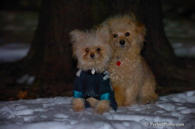 Dec20_07_030.JPG