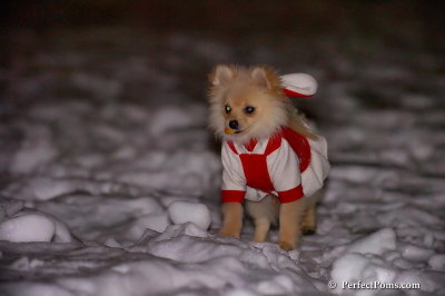 Dec20_07_032.jpg