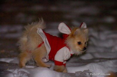 Dec20_07_033.JPG