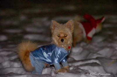 Dec20_07_034.JPG