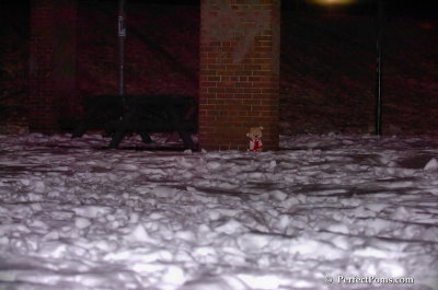 Dec20_07_040.JPG