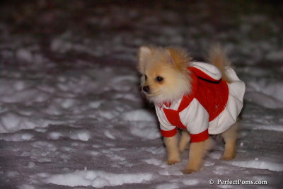 Dec20_07_041.jpg