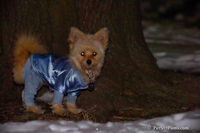 Dec20_07_042.jpg