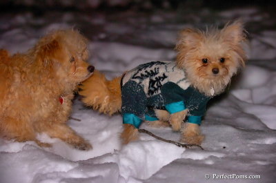 Dec20_07_046.JPG
