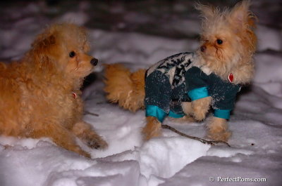 Dec20_07_047.JPG