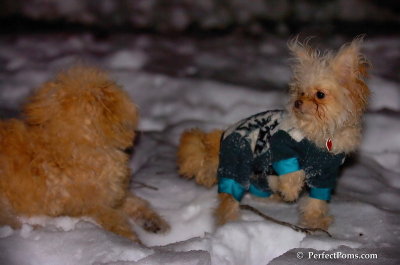 Dec20_07_048.JPG