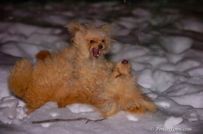 Dec20_07_049.JPG