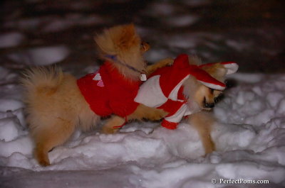 Dec20_07_055.JPG