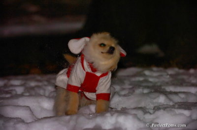 Dec20_07_056.JPG